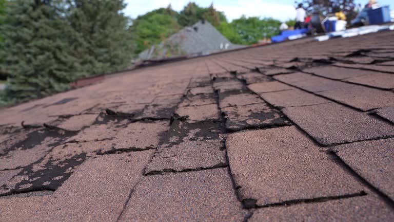 Best Green or Eco-Friendly Roofing Solutions  in Cloverleaf, TX